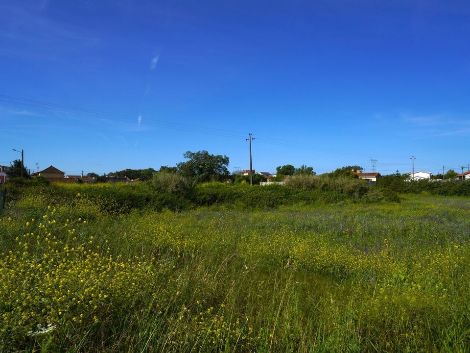 Helårsgrund i Benedita, Leiria - foto 3
