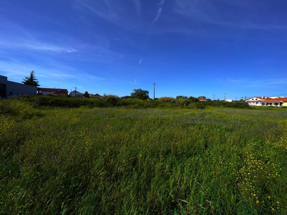 Helårsgrund i Benedita, Leiria - foto 4
