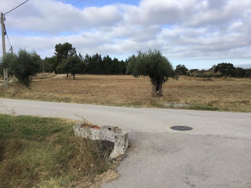 Helårsgrund i Tomar, Santarem - foto 2