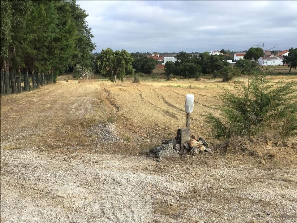 Helårsgrund i Tomar, Santarem - foto 4