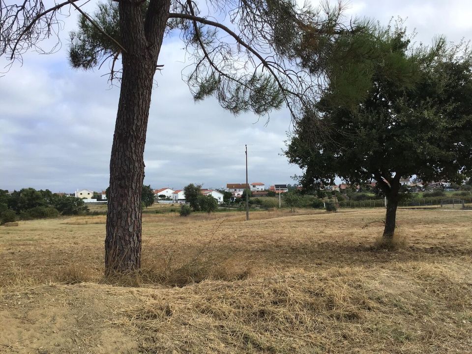 Helårsgrund i Tomar, Santarem - foto 5