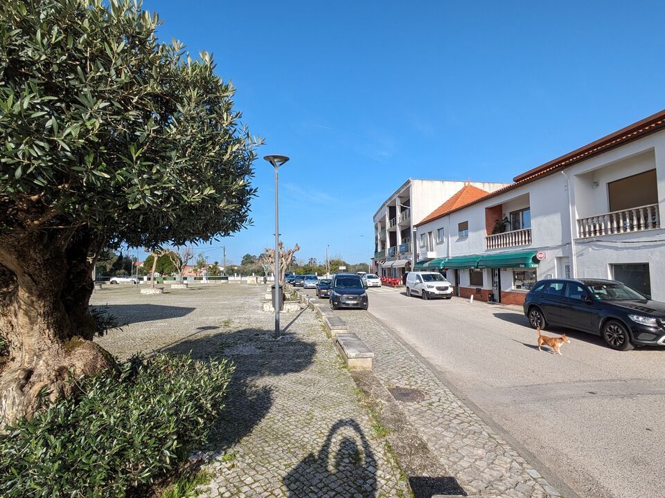 Helårsgrund i Pombal, Leiria - foto 3