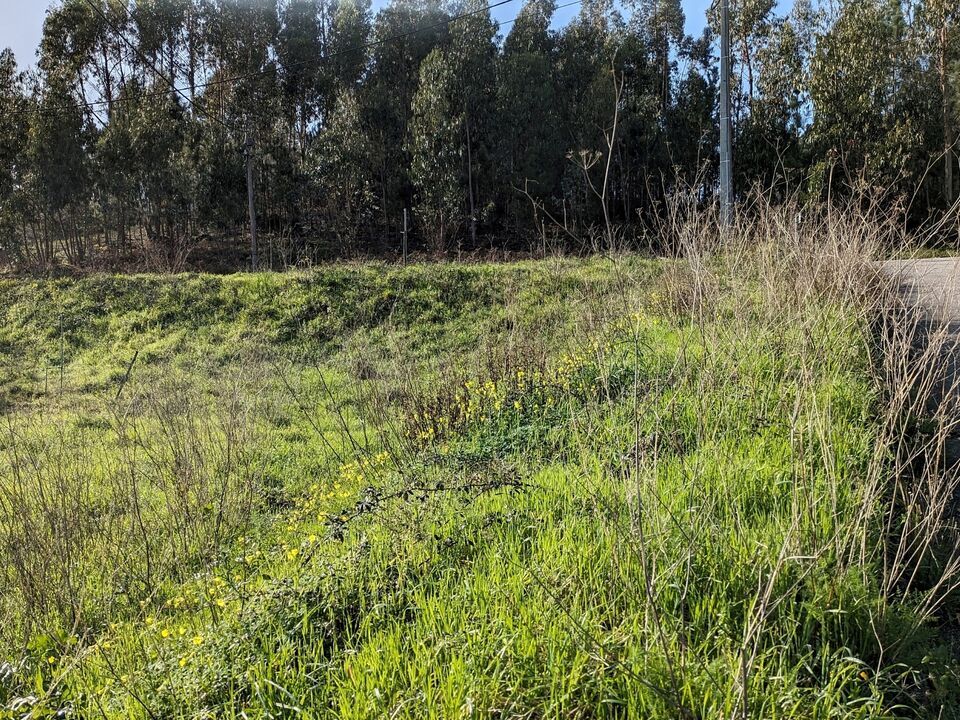 Helårsgrund i Pombal, Leiria - foto 4