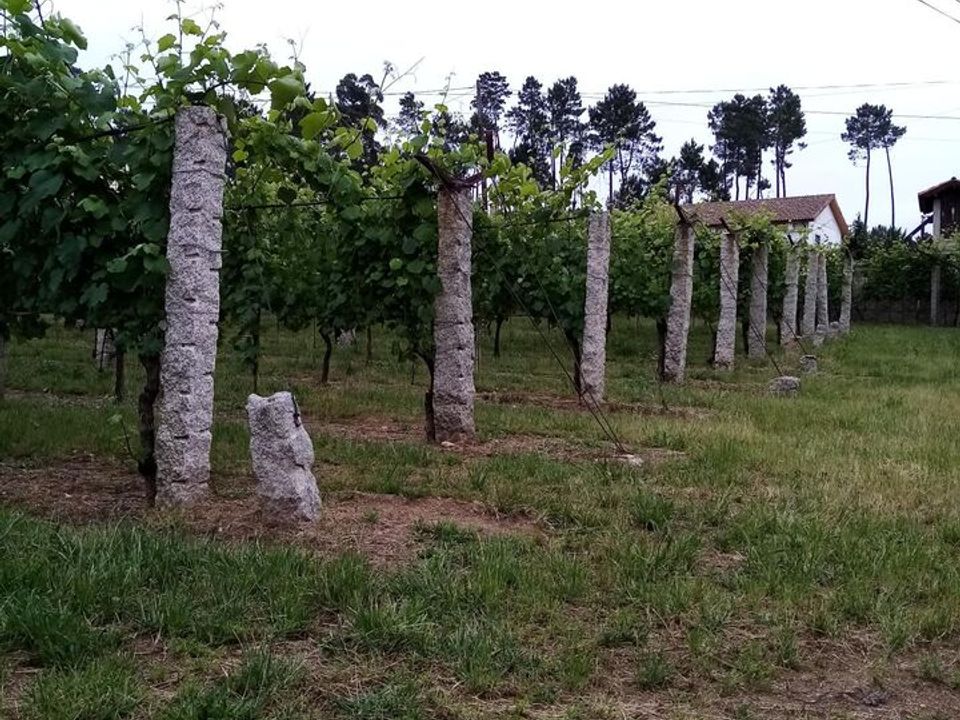 Farm i Moncao, Viana do Castelo - foto 3