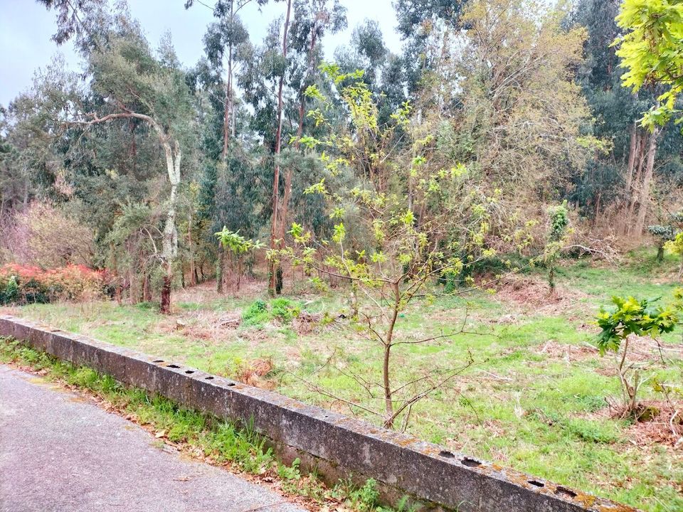 Helårsgrund i Reboreda e Nogueira, Viana do Castelo - foto 1