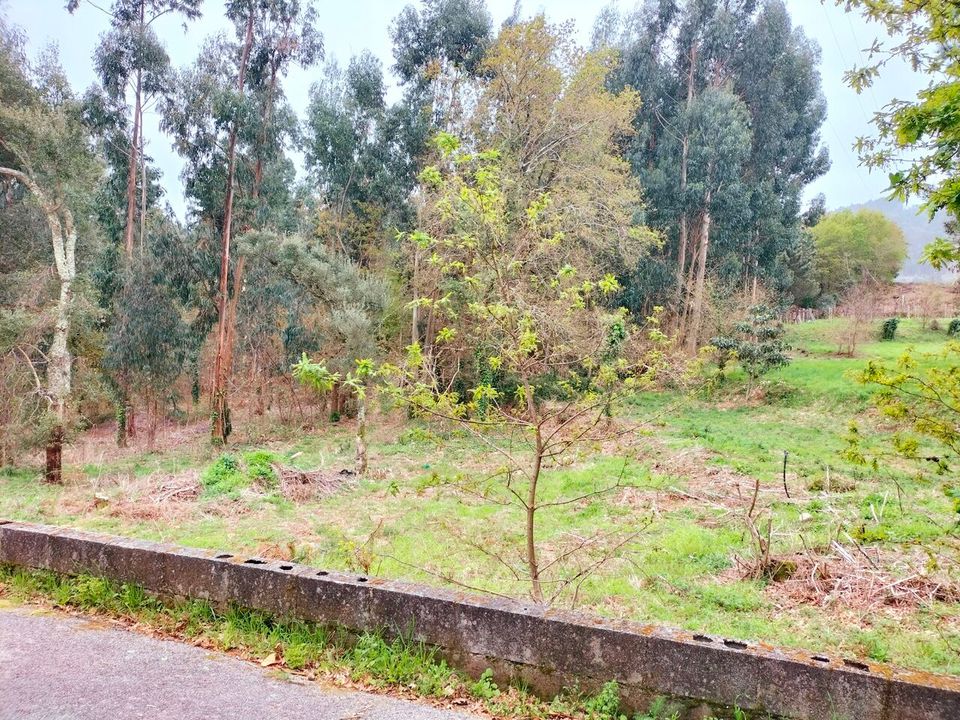 Helårsgrund i Reboreda e Nogueira, Viana do Castelo - foto 2