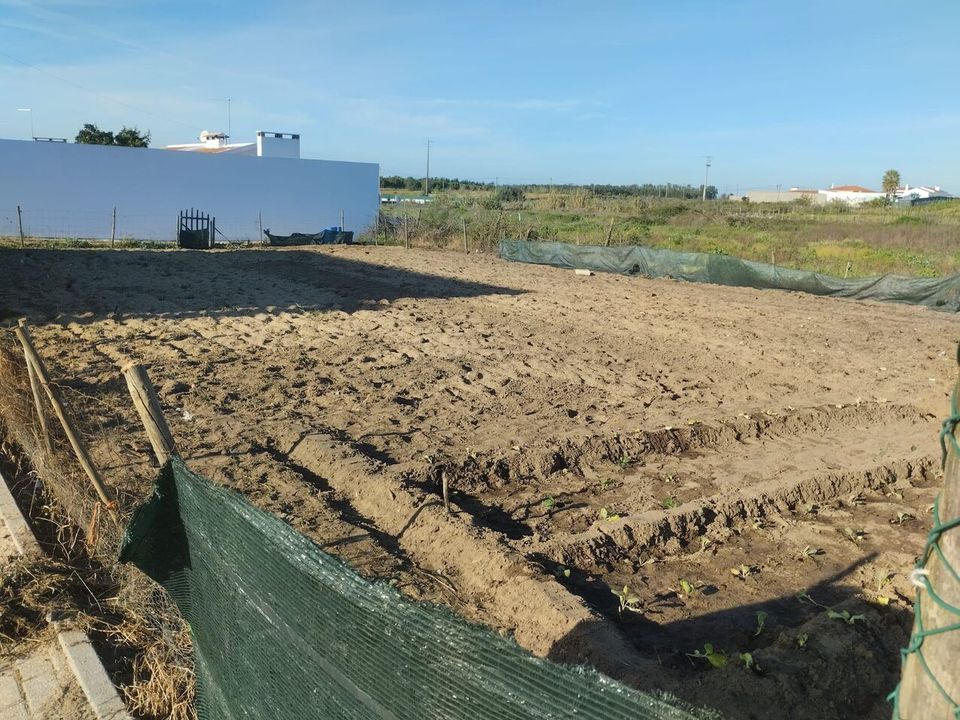 Helårsgrund i Alpiarca, Santarem - foto 4