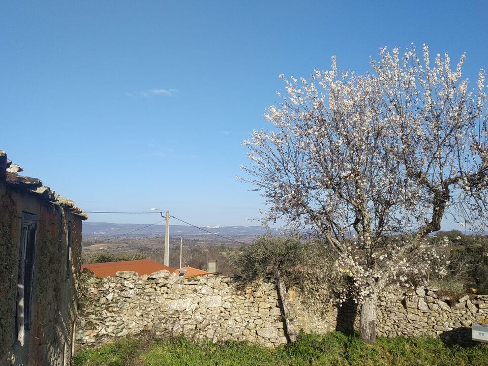 Farm i Pinhel, Guarda - foto 2