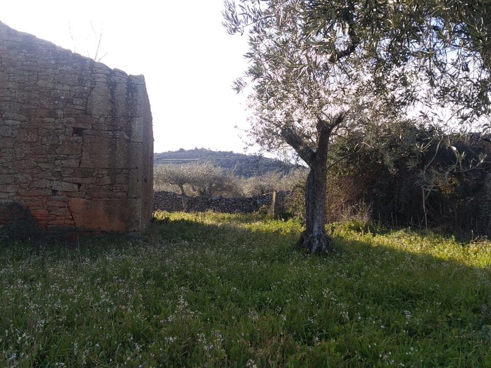 Farm i Pinhel, Guarda - foto 3