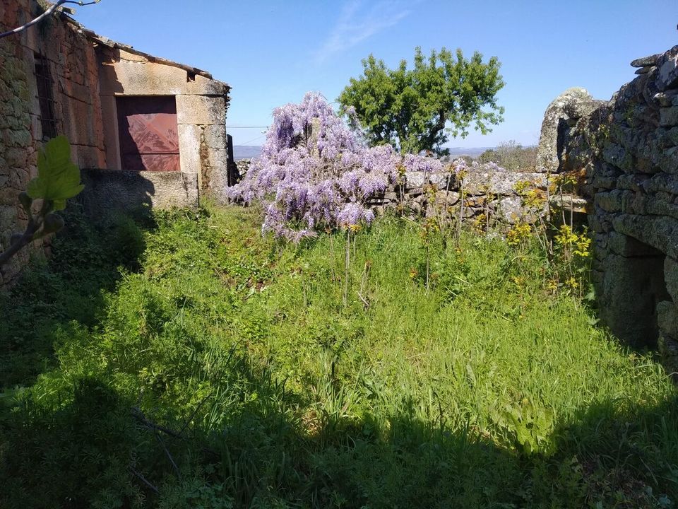 Farm i Pinhel, Guarda - foto 4