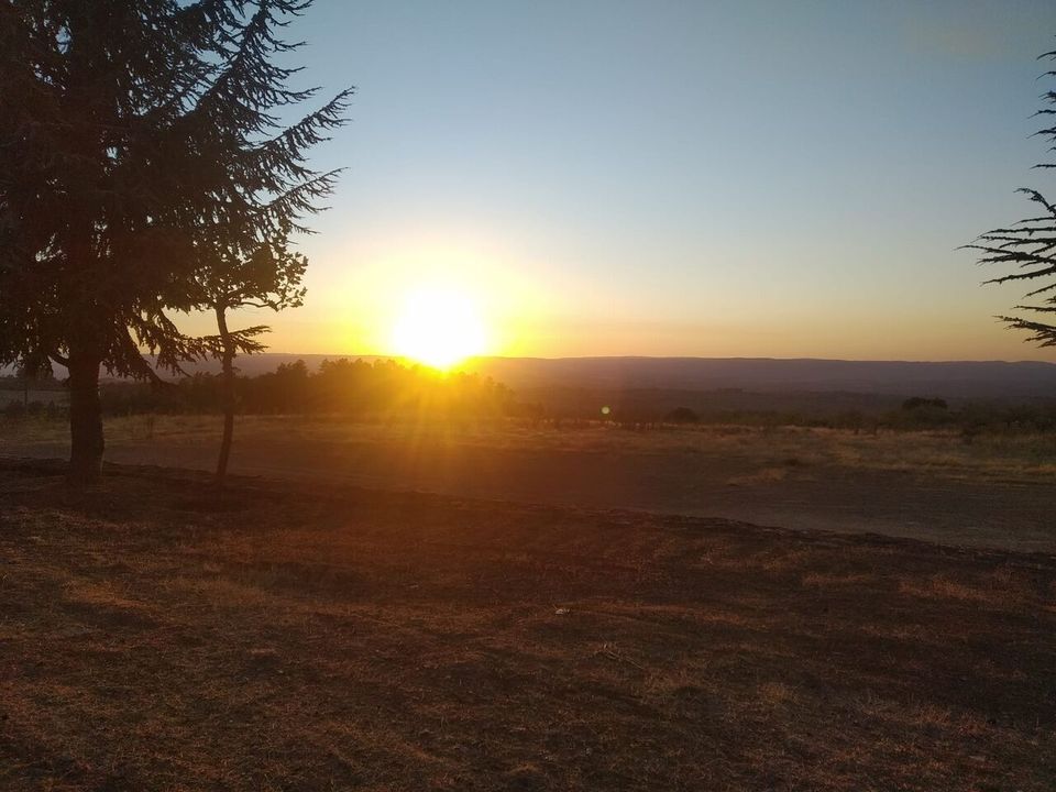 Farm i Pinhel, Guarda - foto 5