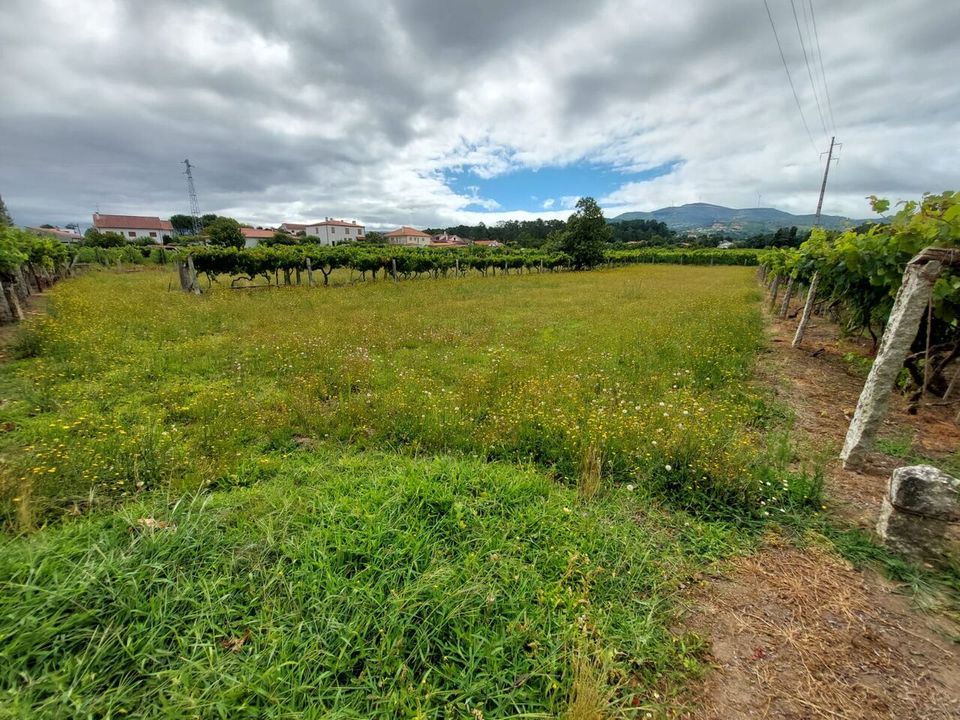 Helårsgrund i Moncao, Viana do Castelo - foto 2