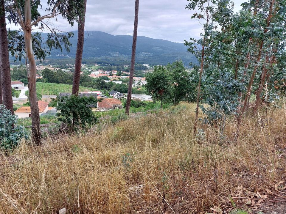 Helårsgrund i Melgaco, Viana do Castelo - foto 2