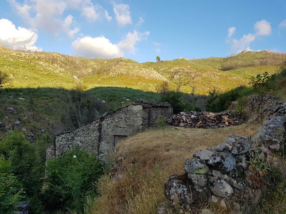 Farm i Gouveia, Guarda - foto 1