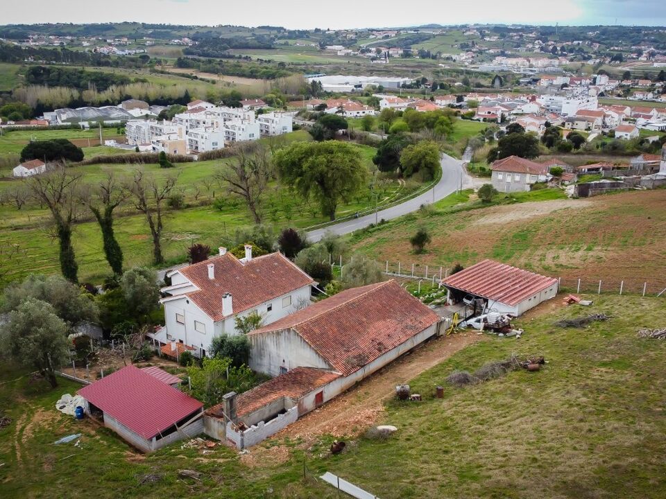 Farm i Alcobaca, Leiria - foto 1