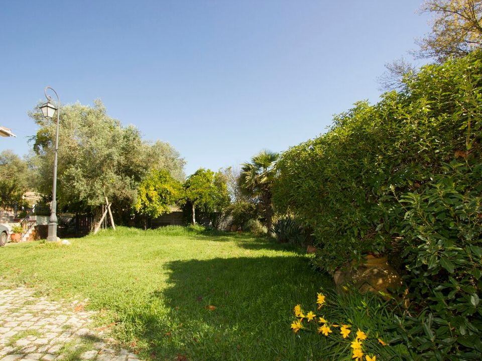 Farm i Alcobaca, Leiria - foto 3