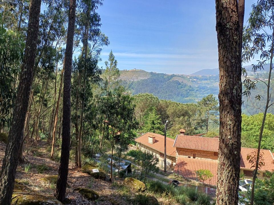 Helårsgrund i Alpendorada, Varzea e Torrao, Porto - foto 3