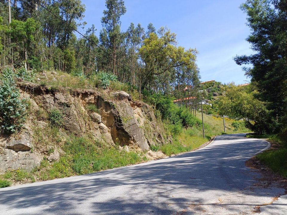 Helårsgrund i Alpendorada, Varzea e Torrao, Porto - foto 4