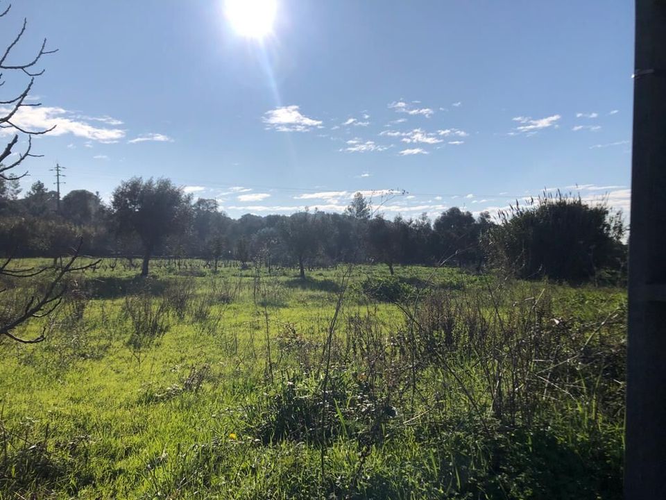 Helårsgrund i Olaia e Paco, Santarem - foto 2