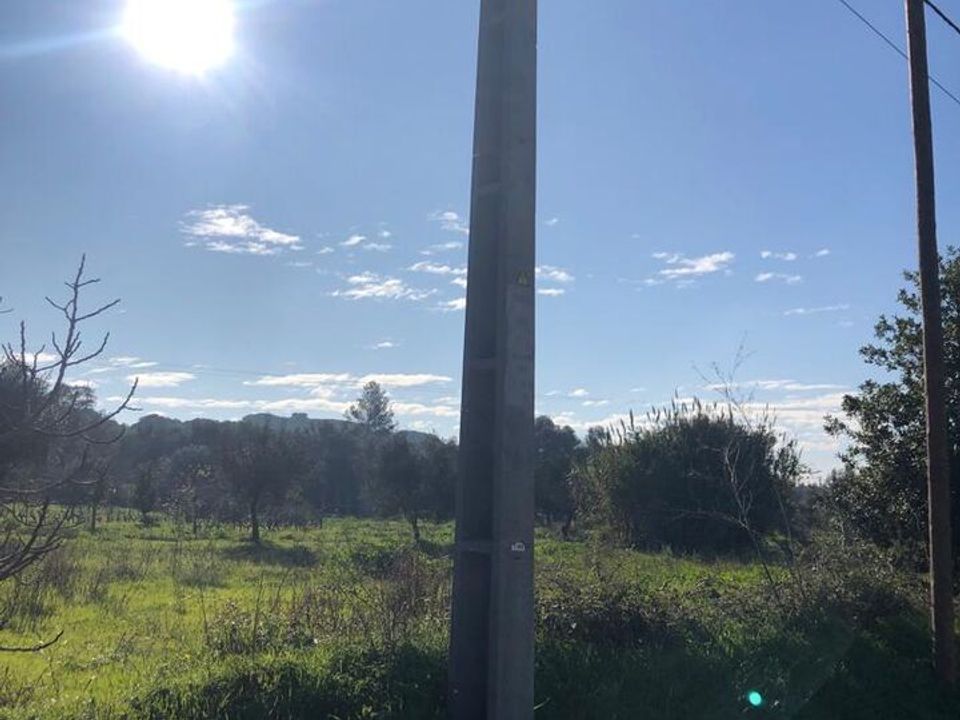 Helårsgrund i Olaia e Paco, Santarem - foto 3