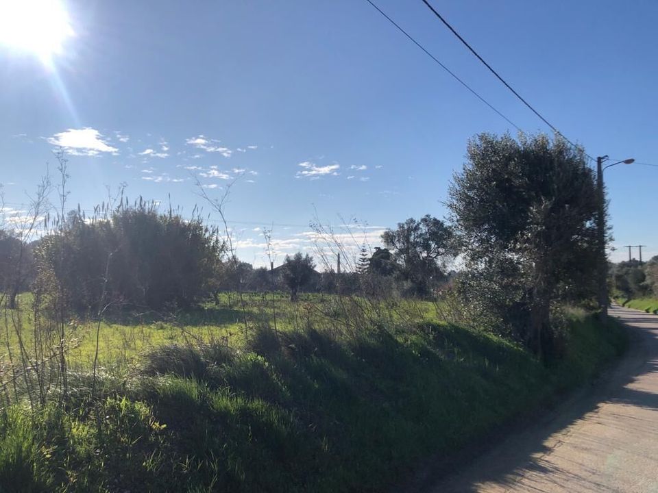 Helårsgrund i Olaia e Paco, Santarem - foto 5