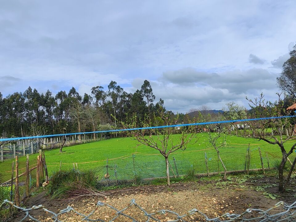 Villa i Ponte de Lima, Viana do Castelo - foto 4