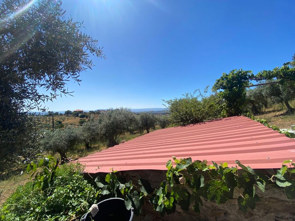 Boerderij in Macedo de Cavaleiros, Braganca - foto 2