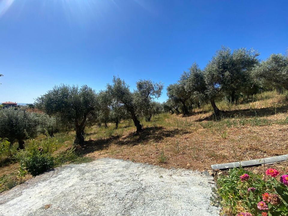 Boerderij in Macedo de Cavaleiros, Braganca - foto 3