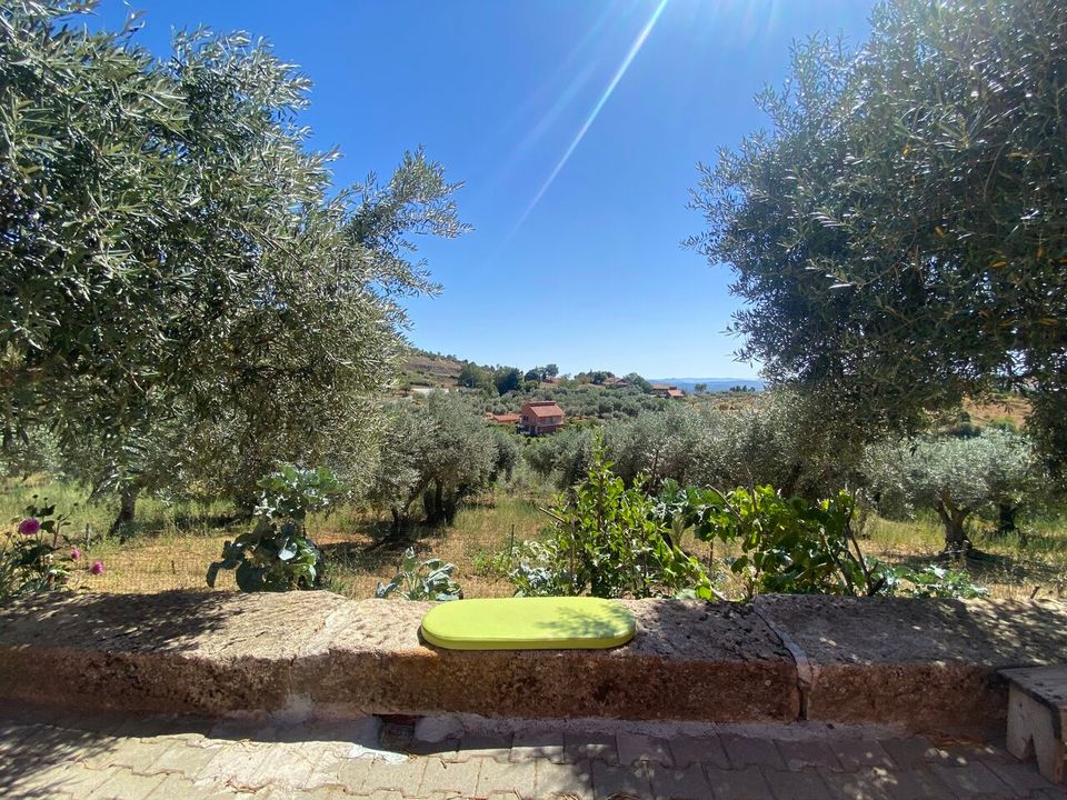 Boerderij in Macedo de Cavaleiros, Braganca - foto 4
