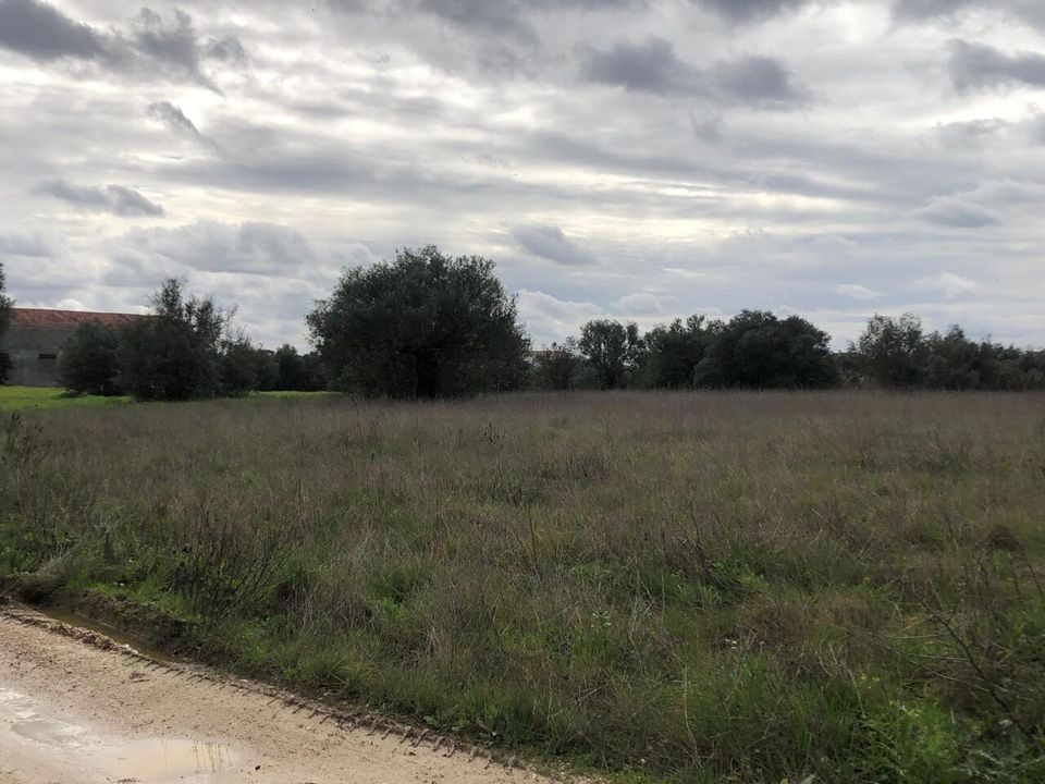 Helårsgrund i Alcanena, Santarem - foto 1