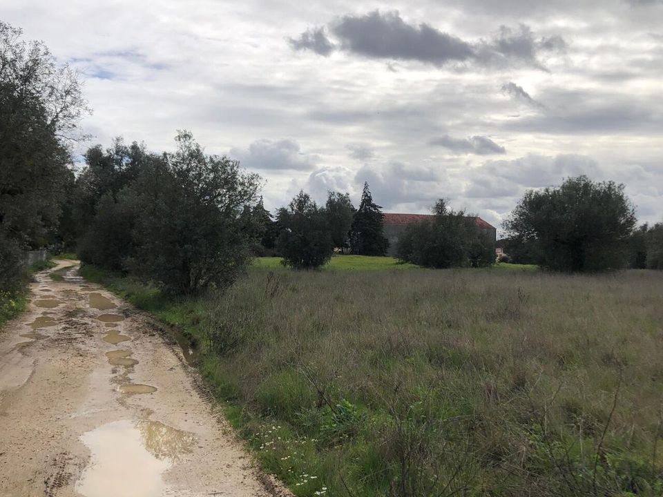 Helårsgrund i Alcanena, Santarem - foto 2