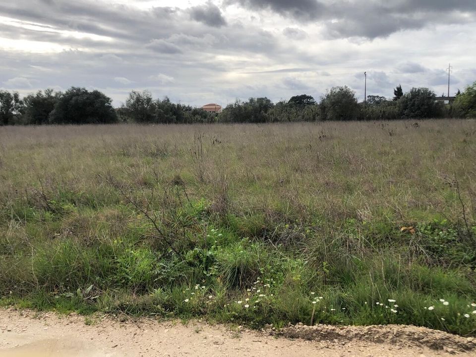 Helårsgrund i Alcanena, Santarem - foto 3