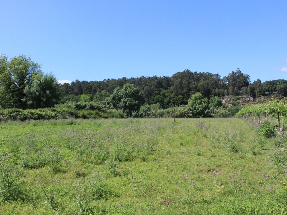 Helårsgrund i Moncao, Viana do Castelo - foto 3
