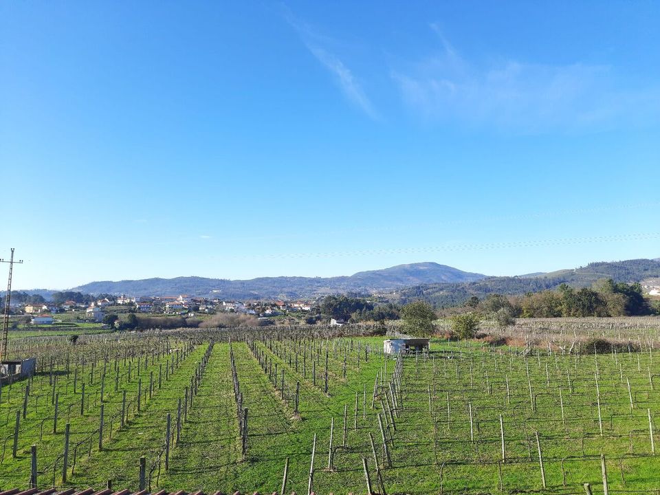 Farm i Moncao, Viana do Castelo - foto 2