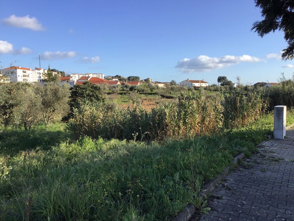 Helårsgrund i Macao, Santarem - foto 2