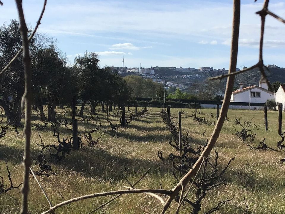 Helårsgrund i Abrantes, Santarem - foto 1