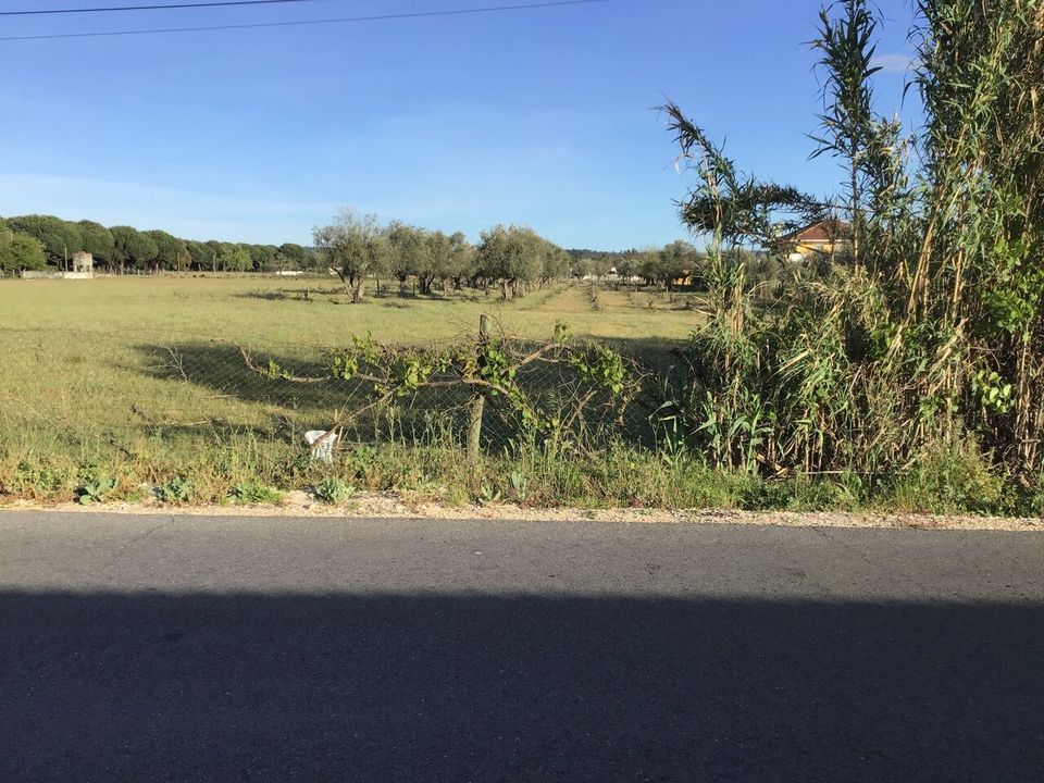 Helårsgrund i Abrantes, Santarem - foto 4