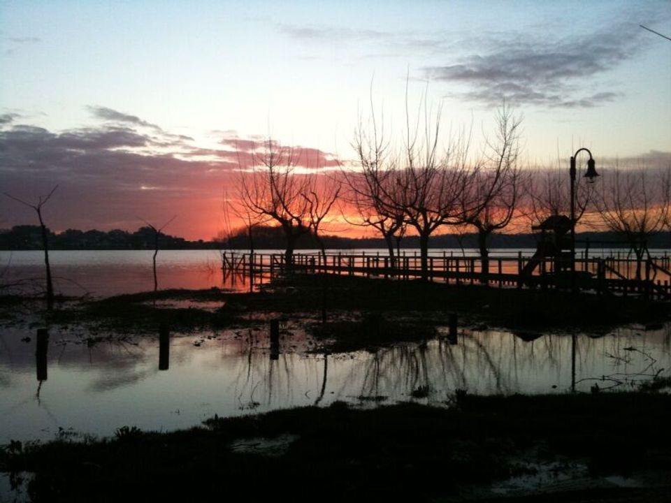 Erhvervsejendom i Travasso, Aveiro - foto 5