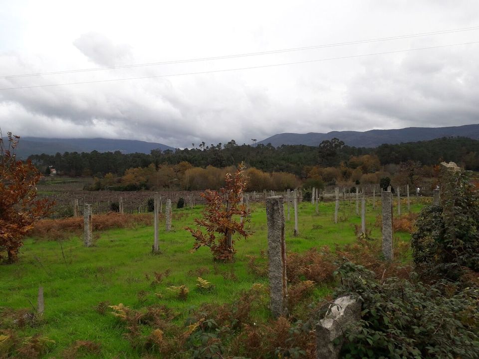 Helårsgrund i Moncao, Viana do Castelo - foto 1