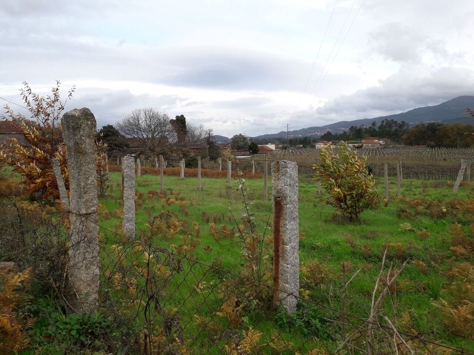 Helårsgrund i Moncao, Viana do Castelo - foto 2