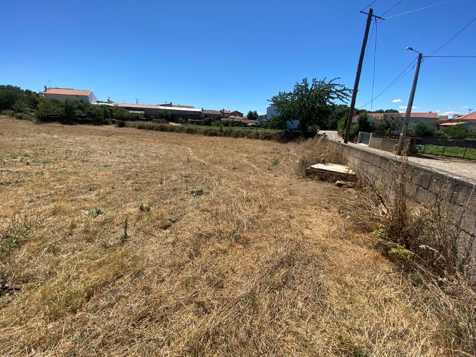 Tomt i Izeda, Calvelhe e Paradinha Nova, Braganca - bilde 3