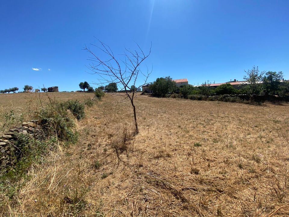 Tomt i Izeda, Calvelhe e Paradinha Nova, Braganca - bilde 4