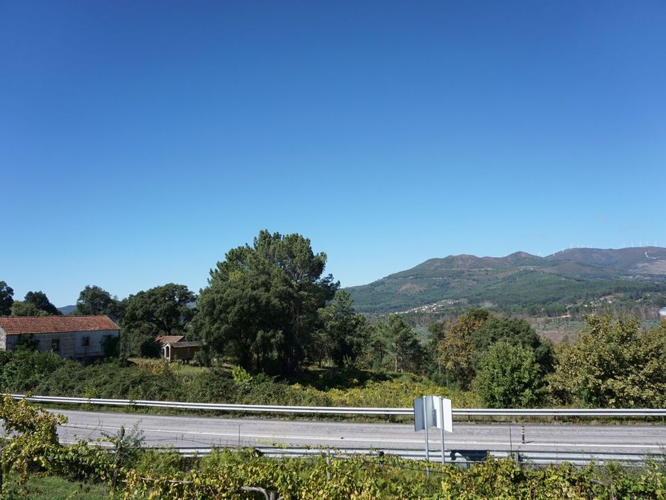 Farm i Melgaco, Viana do Castelo - foto 1