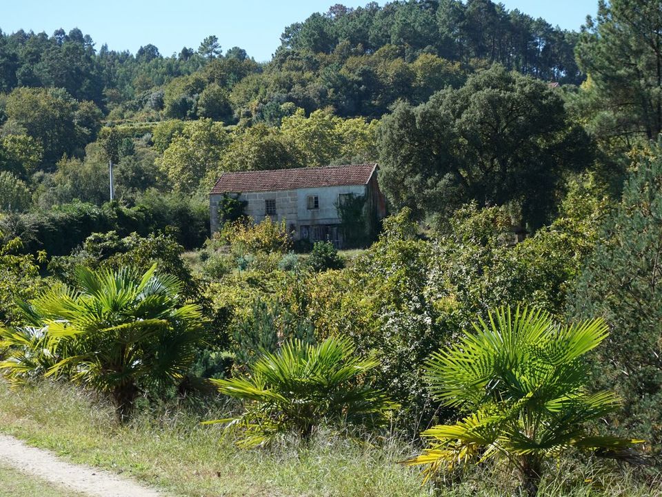 Farm i Melgaco, Viana do Castelo - foto 3