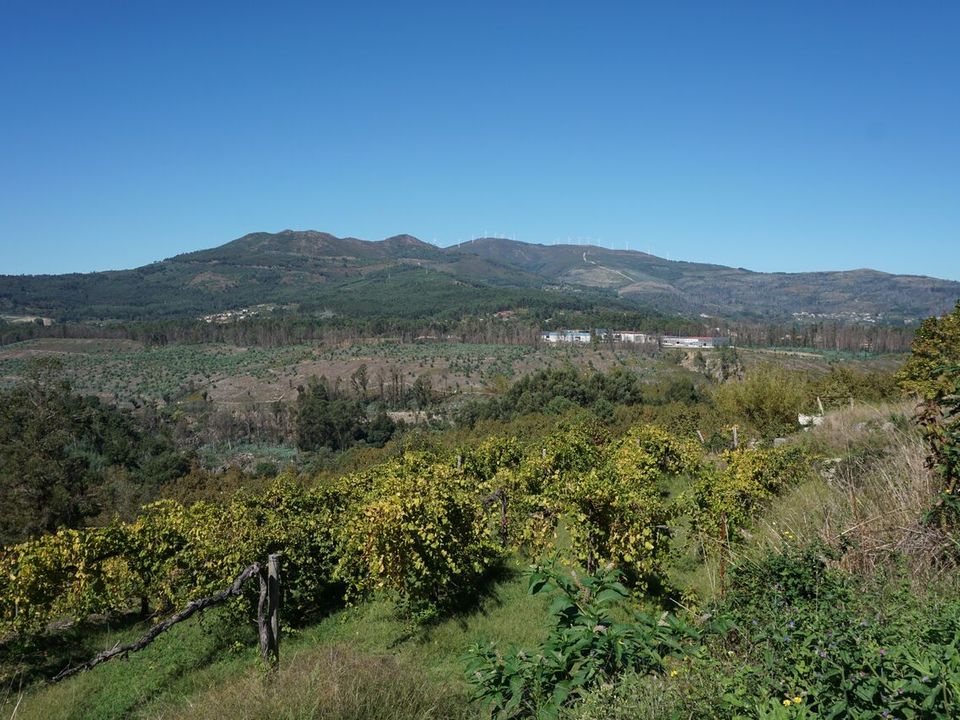 Farm i Melgaco, Viana do Castelo - foto 4