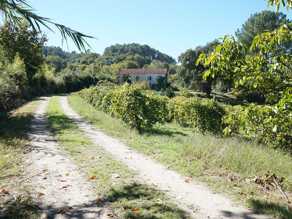 Farm i Melgaco, Viana do Castelo - foto 5