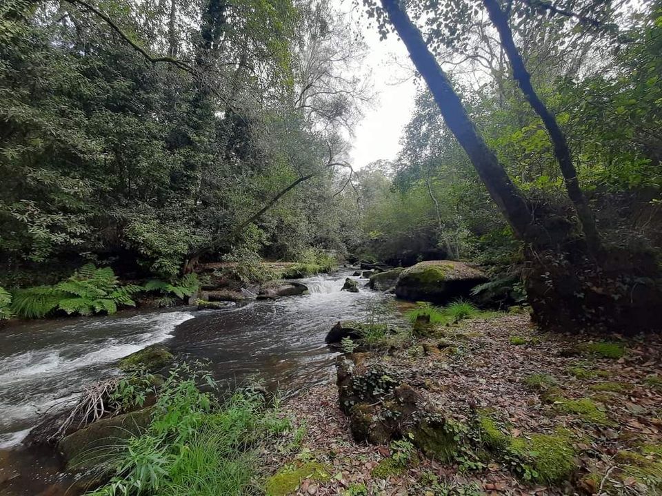 Helårsgrund i Troporiz e Lapela, Viana do Castelo - foto 2