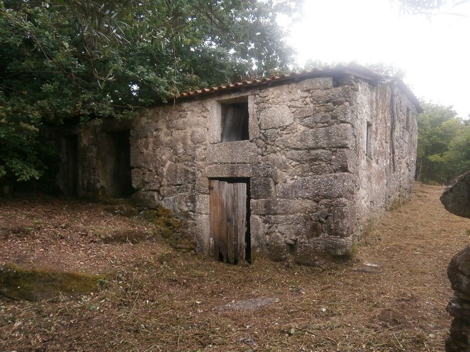 Farm i Povoa de Lanhoso, Braga - foto 1