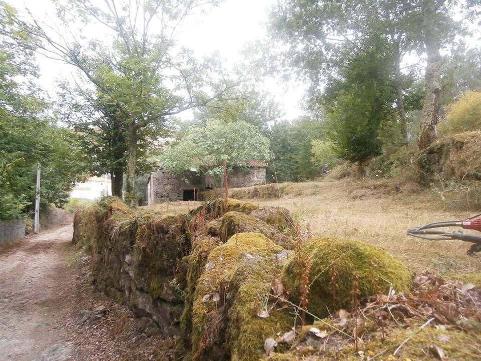 Farm i Povoa de Lanhoso, Braga - foto 2