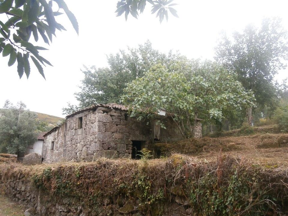 Farm i Povoa de Lanhoso, Braga - foto 3
